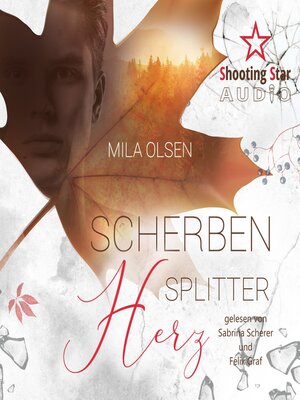 cover image of Scherbensplitterherz (ungekürzt)